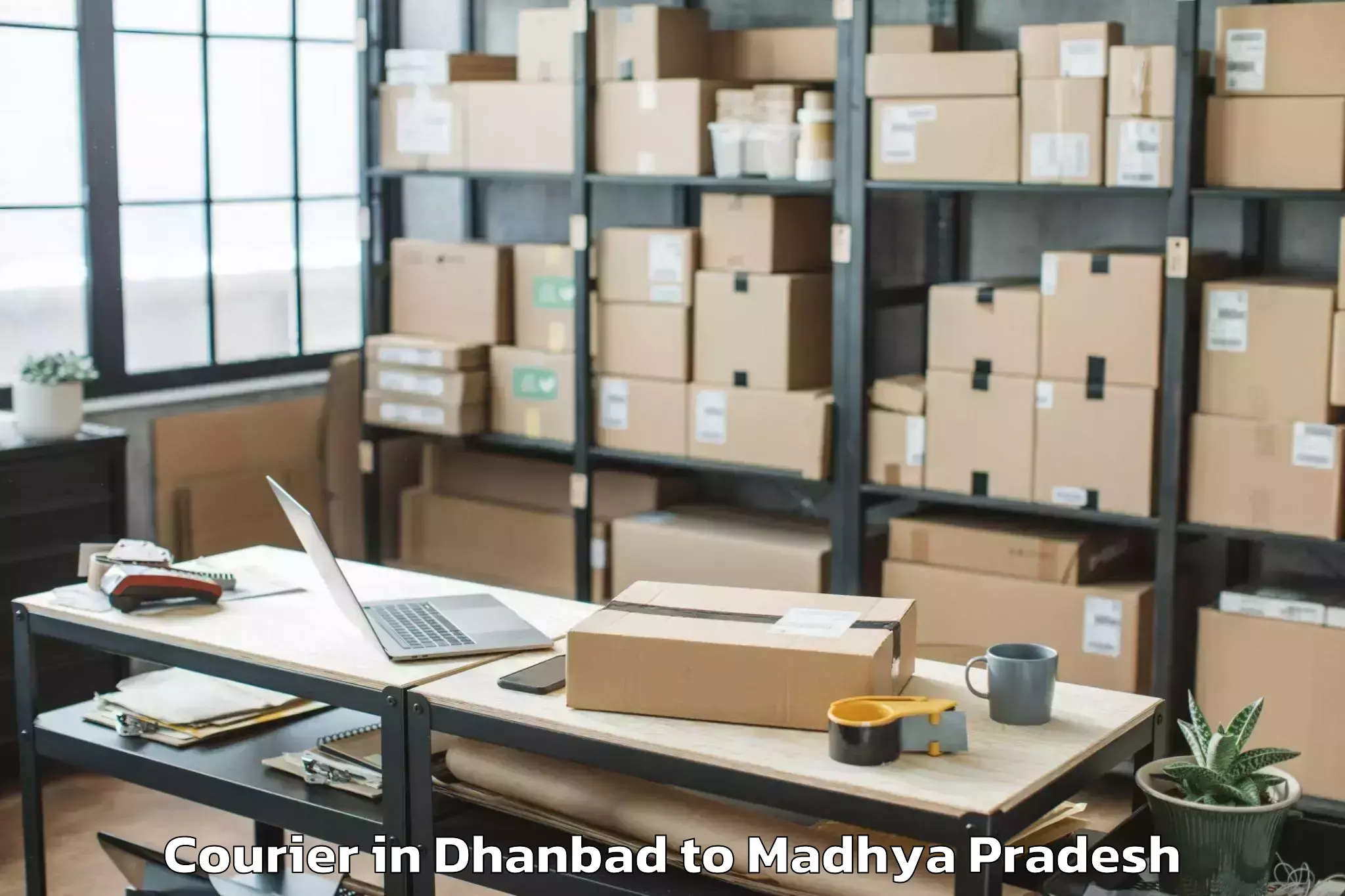 Easy Dhanbad to Sarni Courier Booking